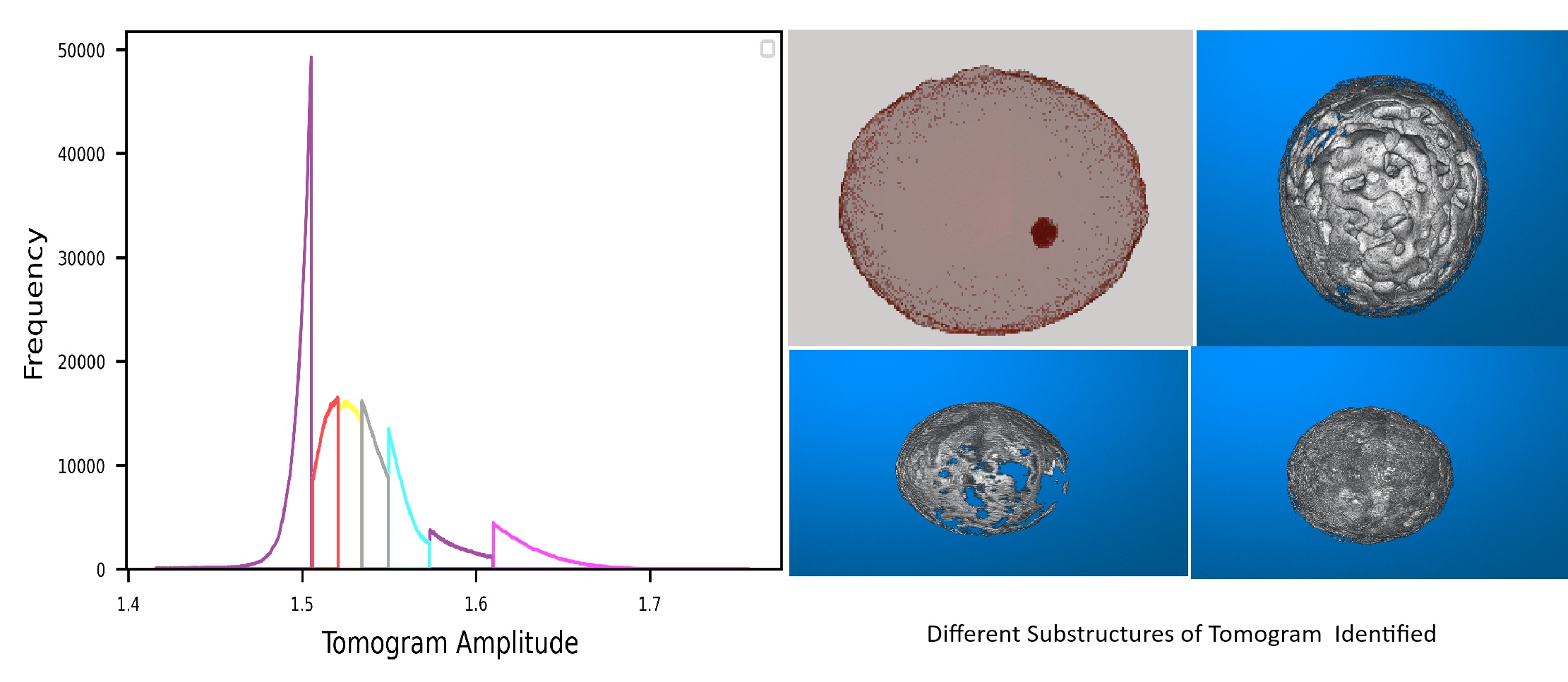 Profile image 6