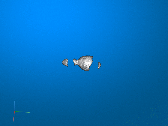 Project Animation